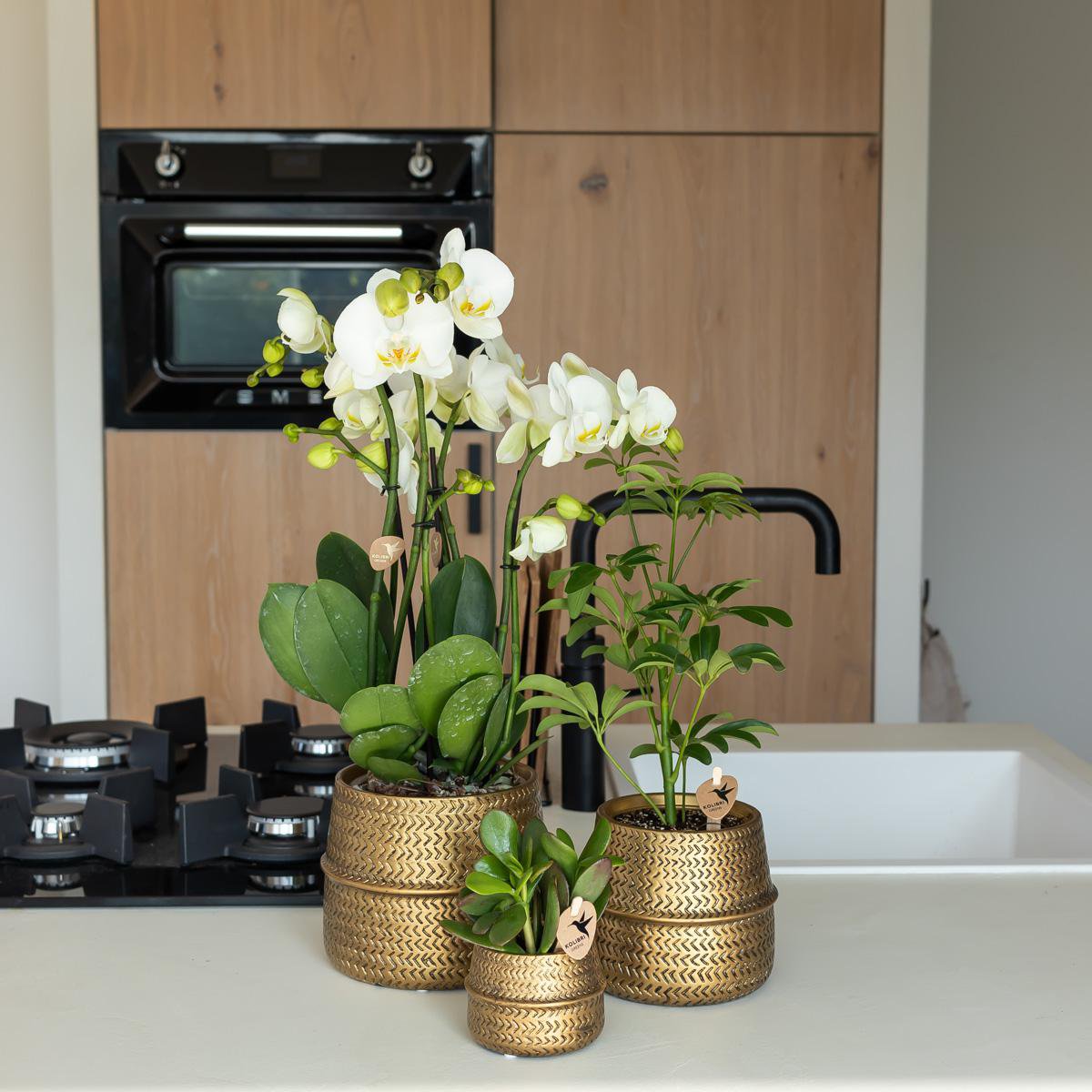 Groove Bloempot van Keramiek – Goud – Potmaat Ø9 cm