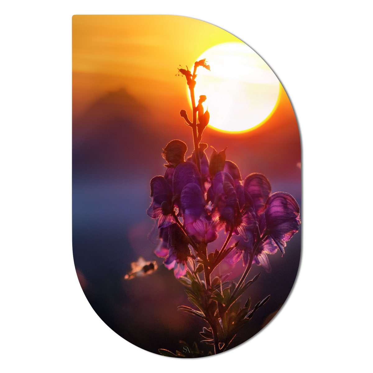 Wanddecoratie Drip Leaf 13x20 cm Dibond zwart