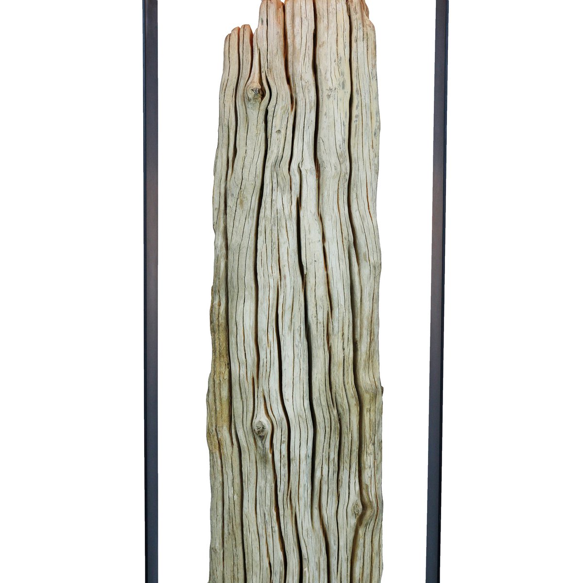Vloerlamp drijfhout 165 cm