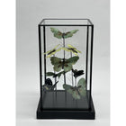 Green Butterflies YF01 Glass Dome Handmade 19x19x31.5 Cm