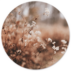 Wall circle cosy flower