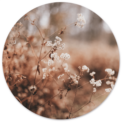 Wall circle cosy flower