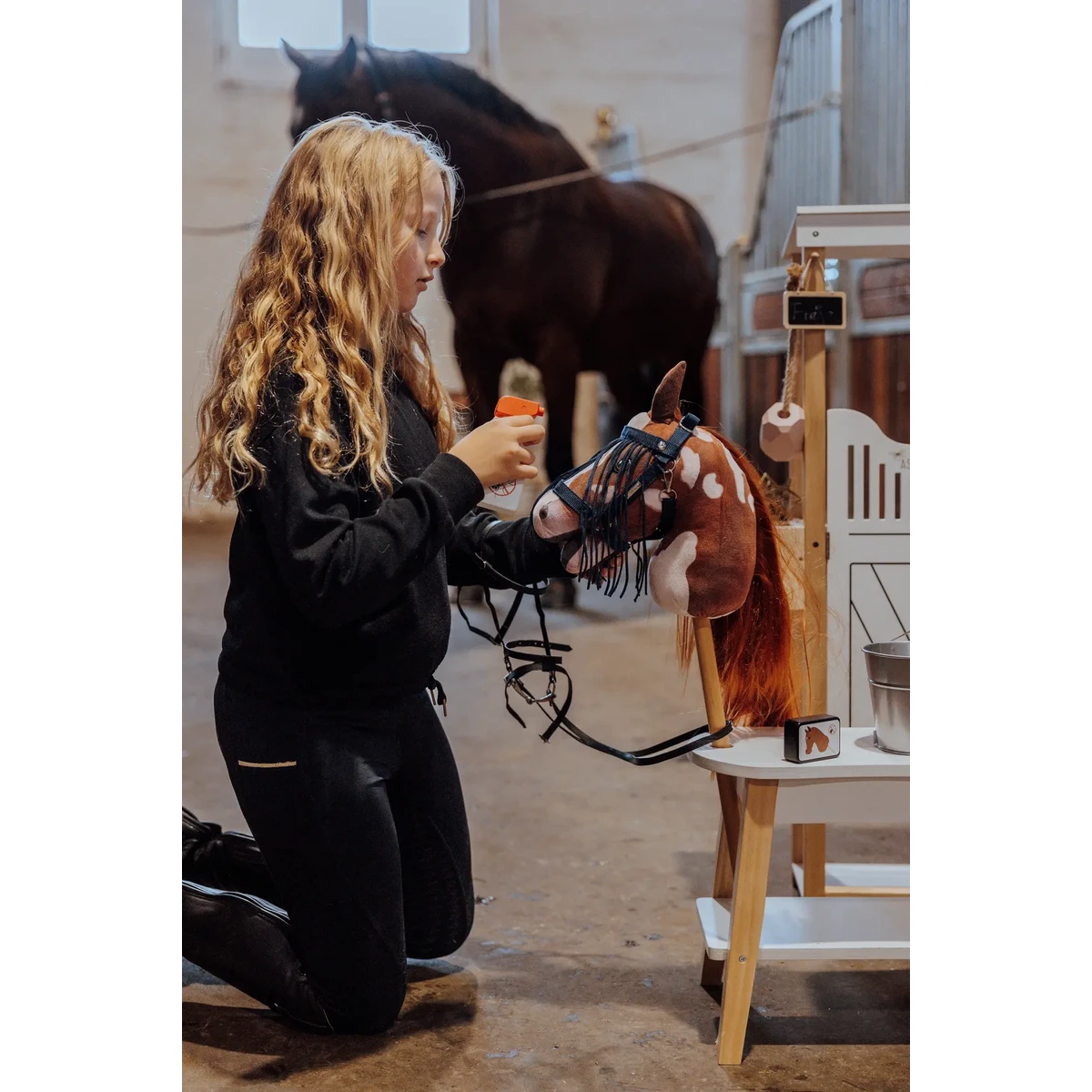 Hobby horse insectenset met spray en kap
