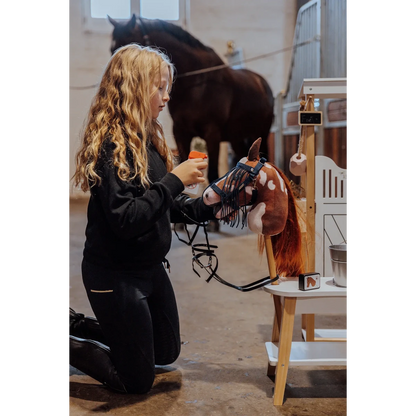 Hobby horse insectenset met spray en kap