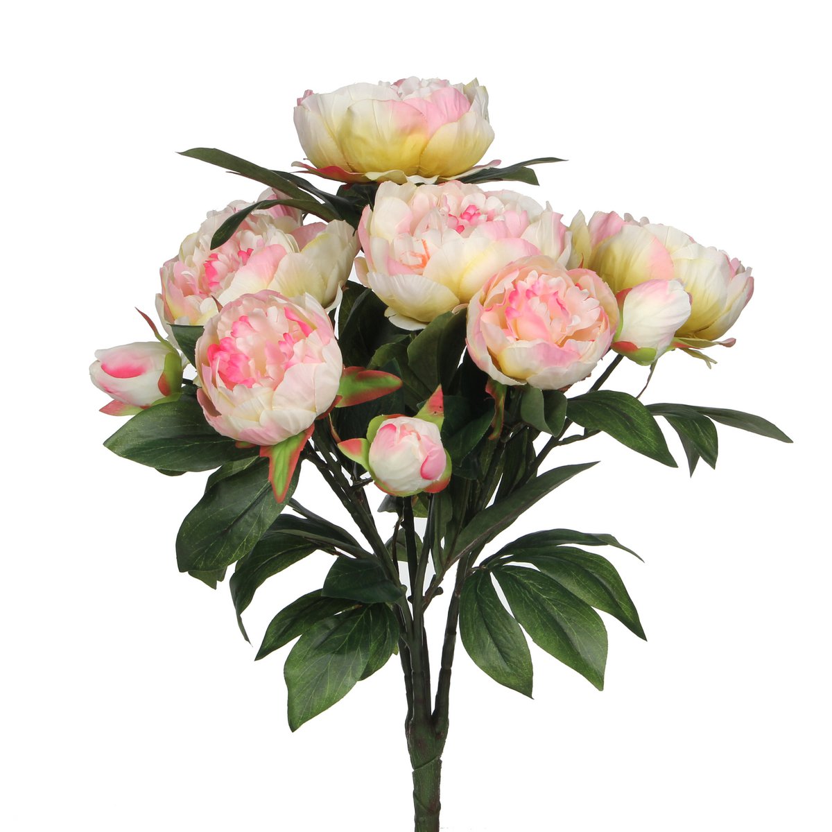 Bouquet Peony Light Pink