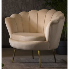 Shell Fauteuil Beige Fluweel Ontspannen Zitervaring