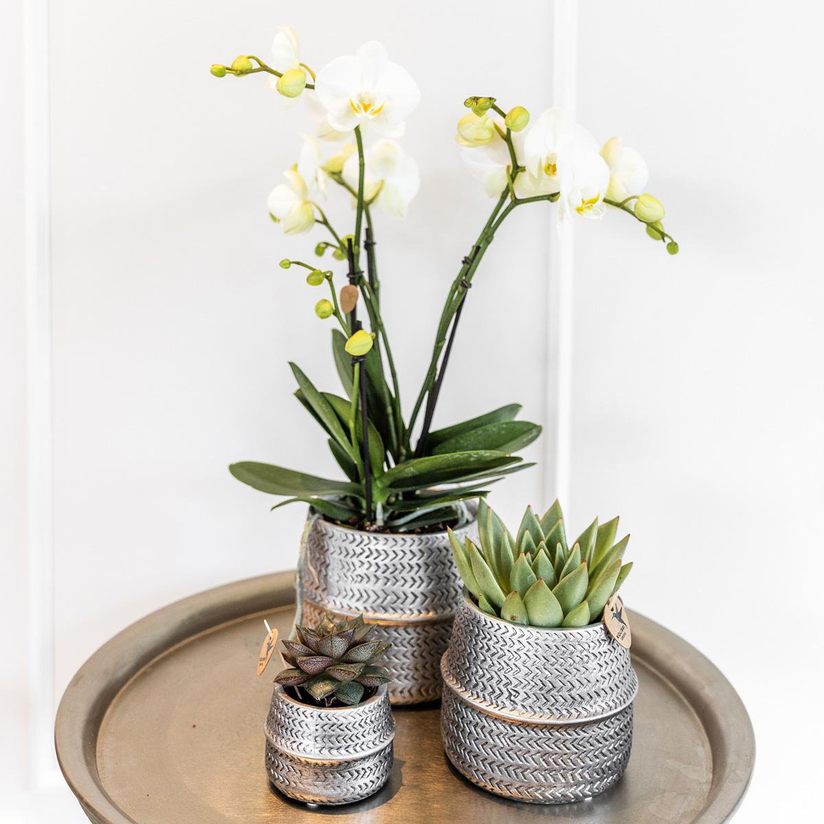 Bloempot Ø9 cm keramiek mat zilver