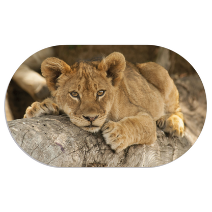 Wall oval baby lion