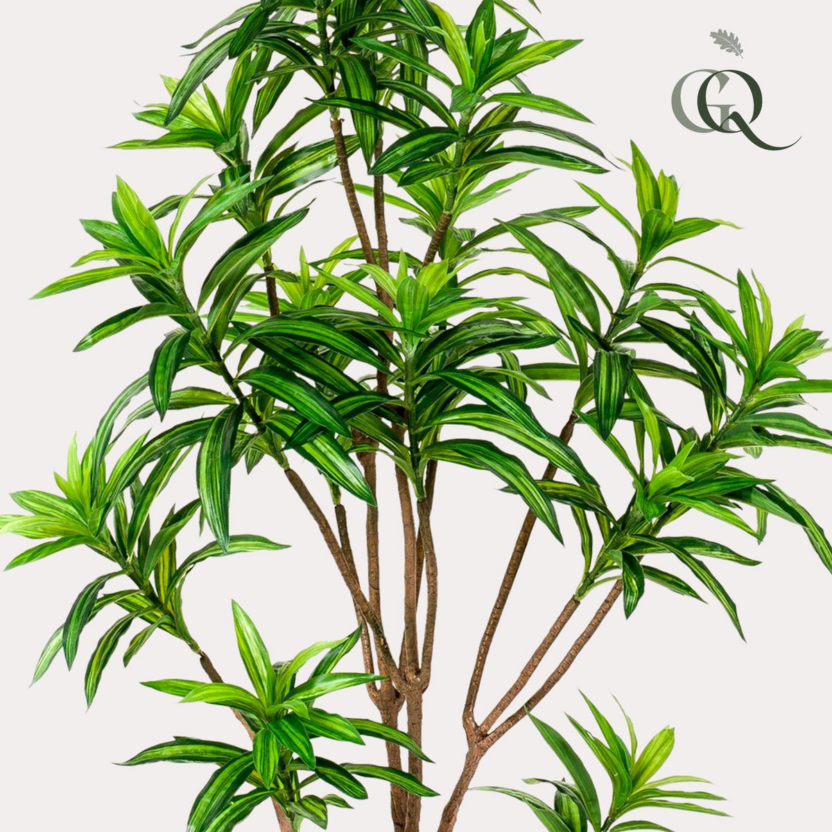 Kunstplant Dracaena 155 cm tweekleurig groen