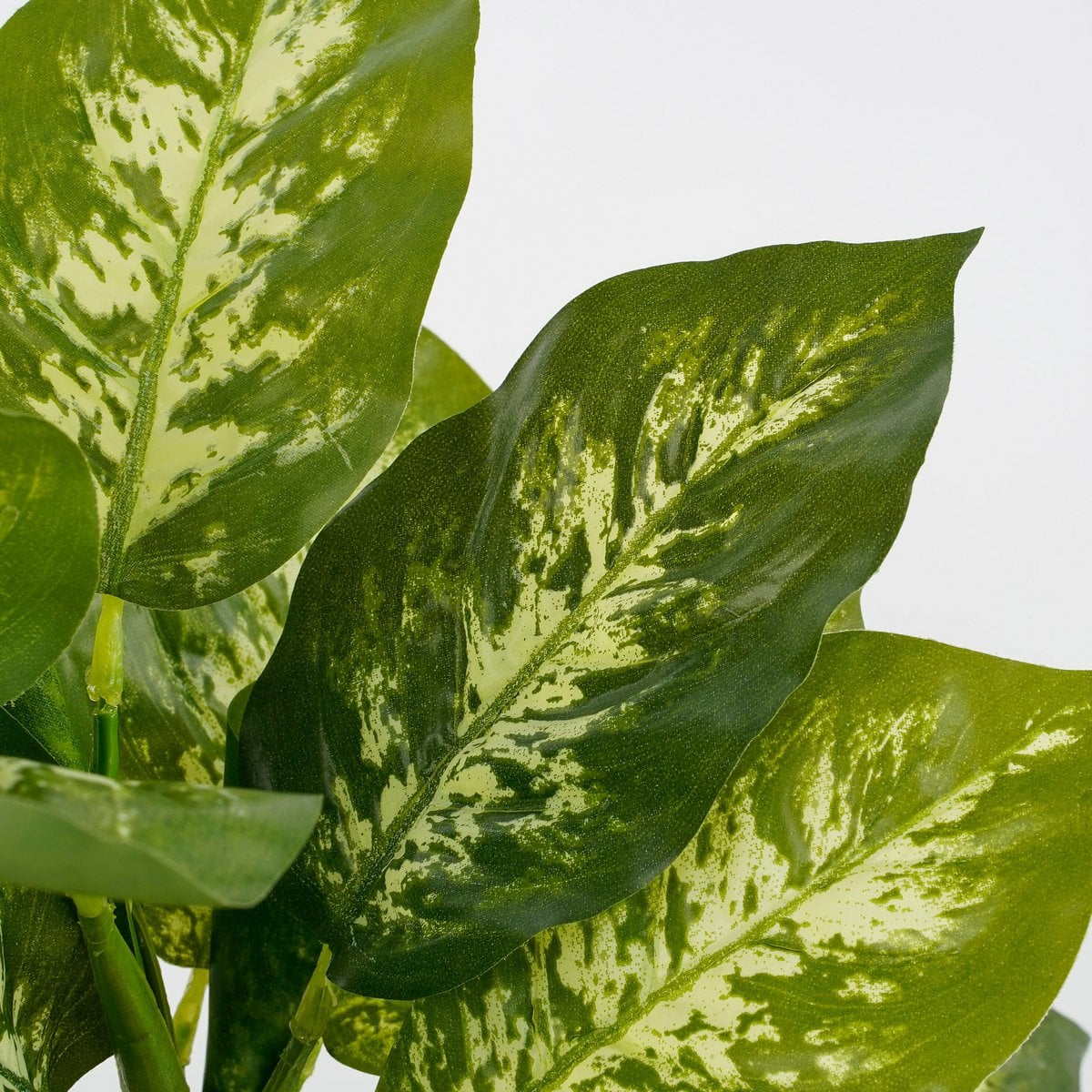 Kunstplant Dieffenbachia 40 cm groen
