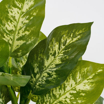 Kunstplant Dieffenbachia 40 cm groen