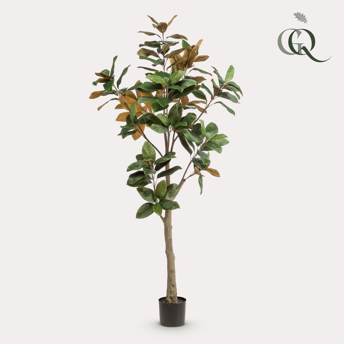 Kunstplant Magnolia Grandiflora 180 cm groen