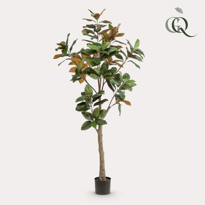 Kunstplant Magnolia Grandiflora 180 cm groen