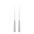 Dinerkaarsen 2 stuks 30 cm lichtgrijs