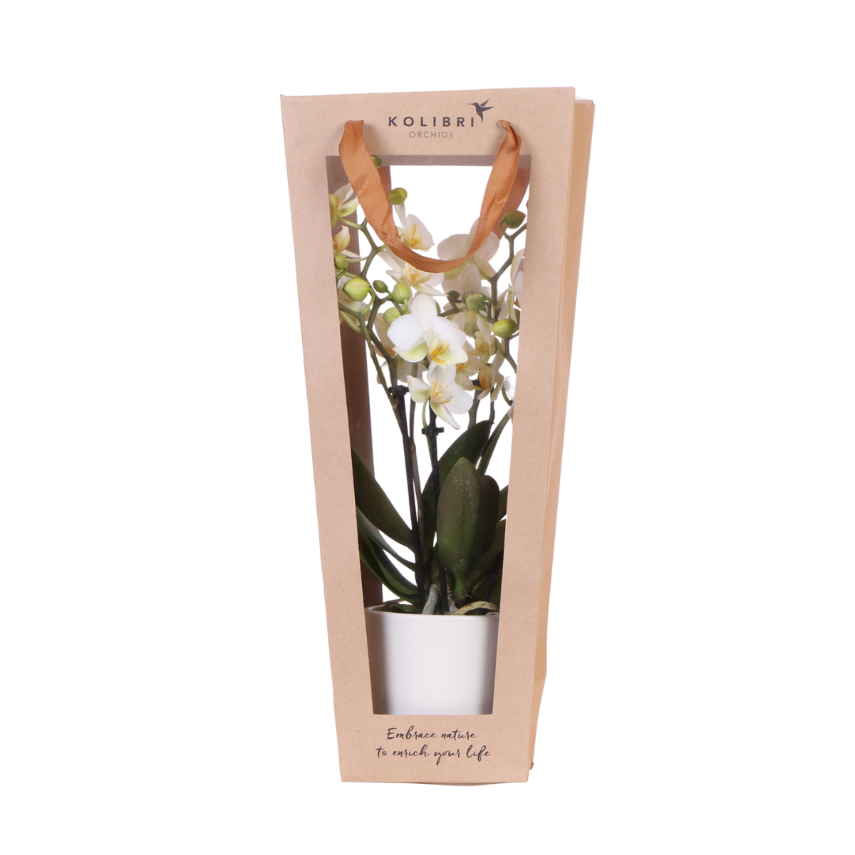 Cadeautasje orchidee 9 cm pot wit