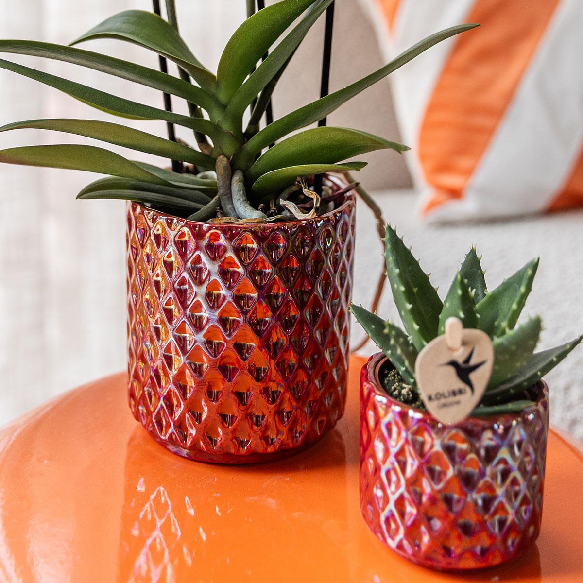 Red Decorative Pot with Diamond Texture Ø9 cm