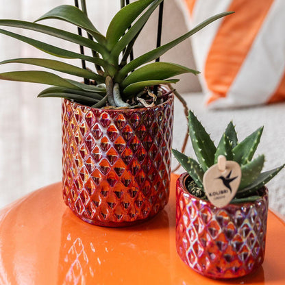 Red Decorative Pot with Diamond Texture Ø9 cm