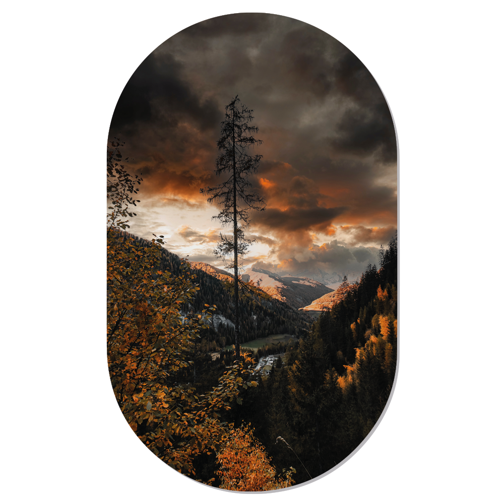 Muurovaal dark sky