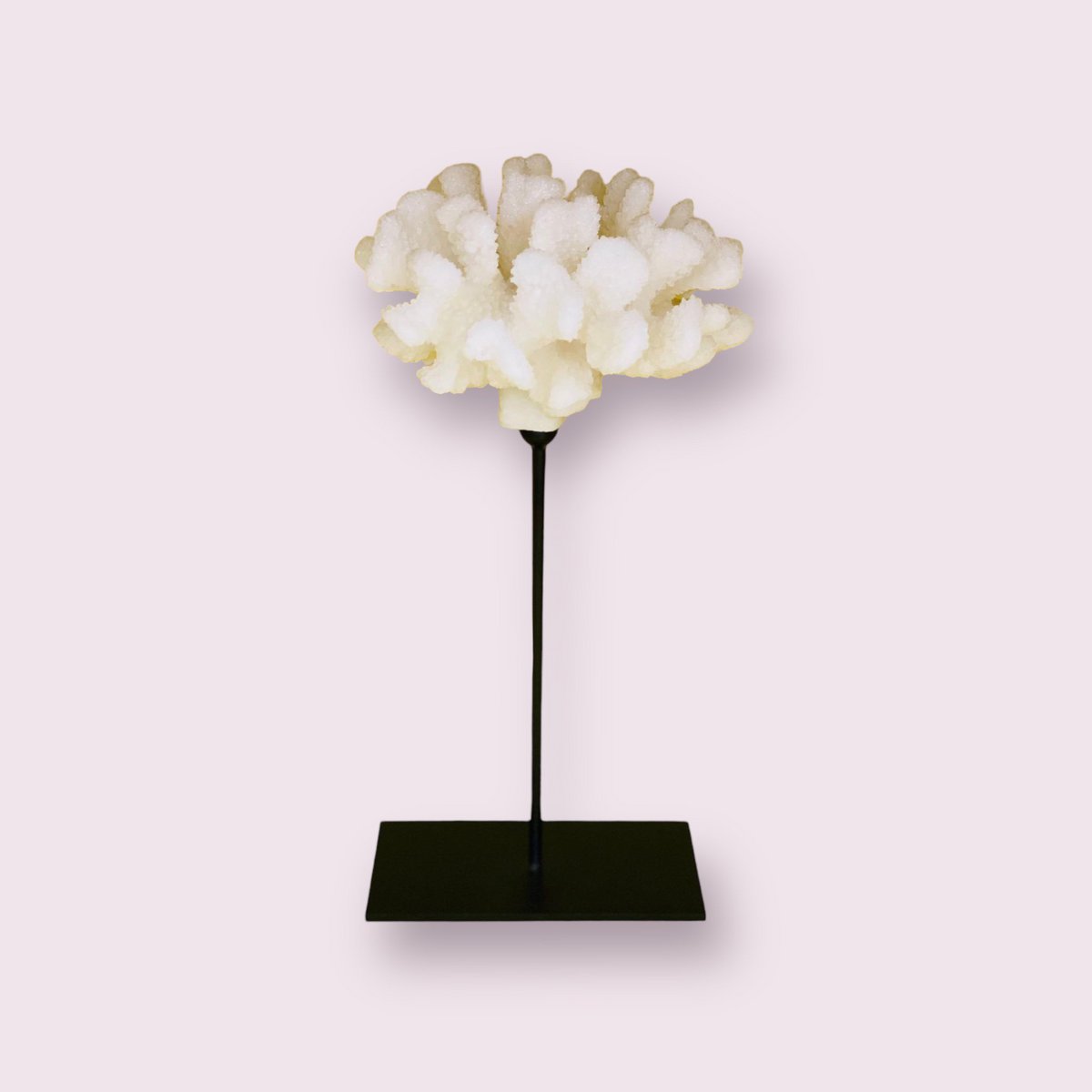Koraaldecoratie met metalen standaard H30xB25xD25 cm wit