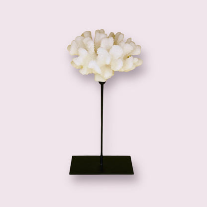 Koraaldecoratie met metalen standaard H30xB25xD25 cm wit