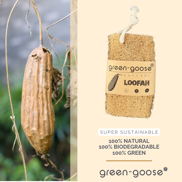 Loofah spons natuurlijk scrub