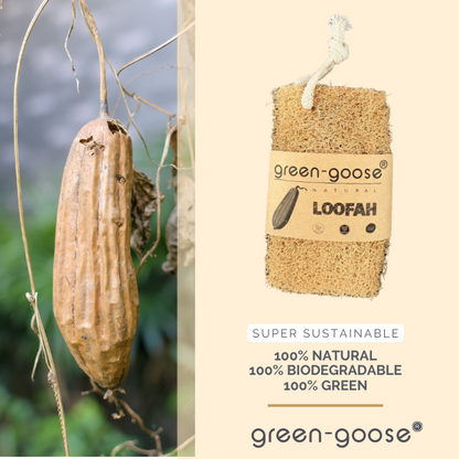 Loofah spons natuurlijk scrub
