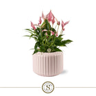 Sierpot keramiek 16 cm pastel pink ribpatroon