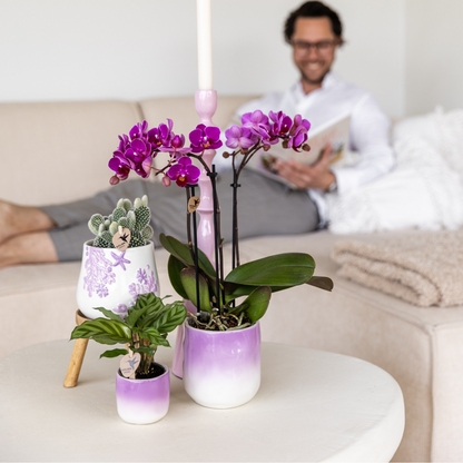 Kolibri Home | Coral  - Lilac - Ø9cm