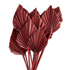 Droogboeket 60 cm roze