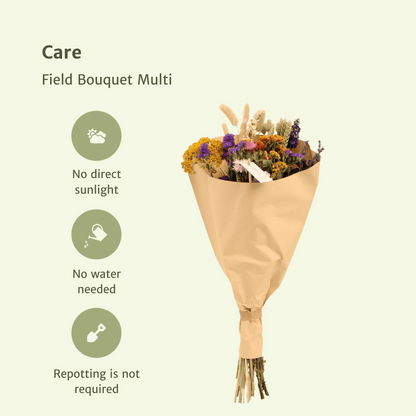 Dried Flowers Field Bouquet Multi - Ø25cm - ↕60cm