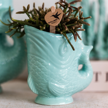 Sierpot visvorm Ø6 cm turquoise keramiek