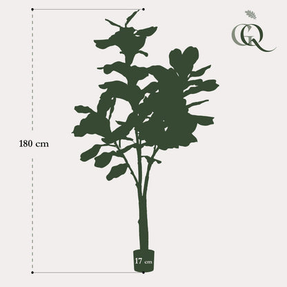 Kunstplant Ficus Lyrata 180 cm groen