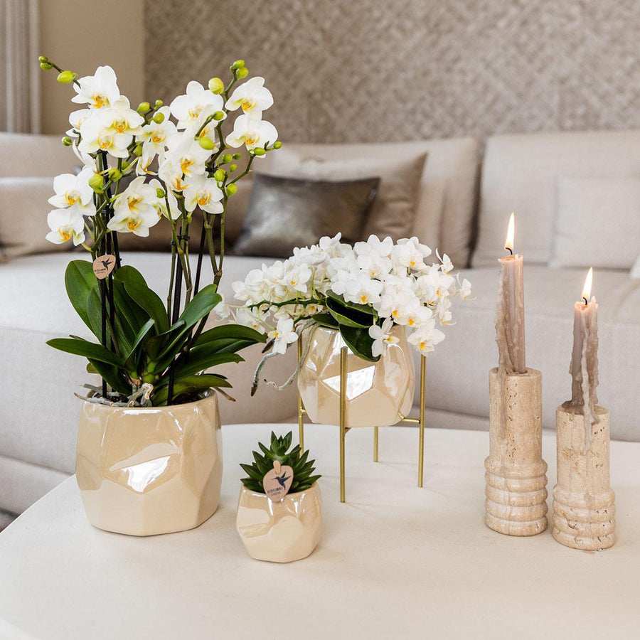 Bloempotten set 3 stuks steen travertine 6 9 12 cm