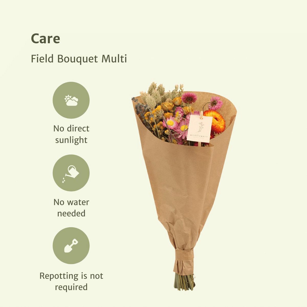 8xfield Bouquet Multi Droogboeket 50 cm Met Diverse Kleuren