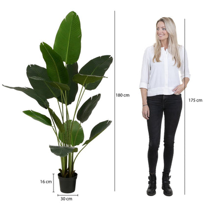 Kunstplant bananenboom 180 cm groen