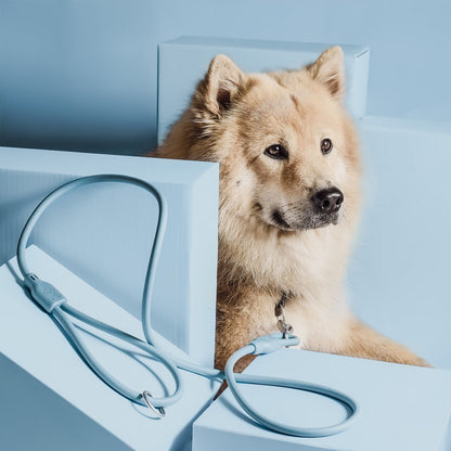 NE & No® Dog Leash "Loft Style" - Weatherproof