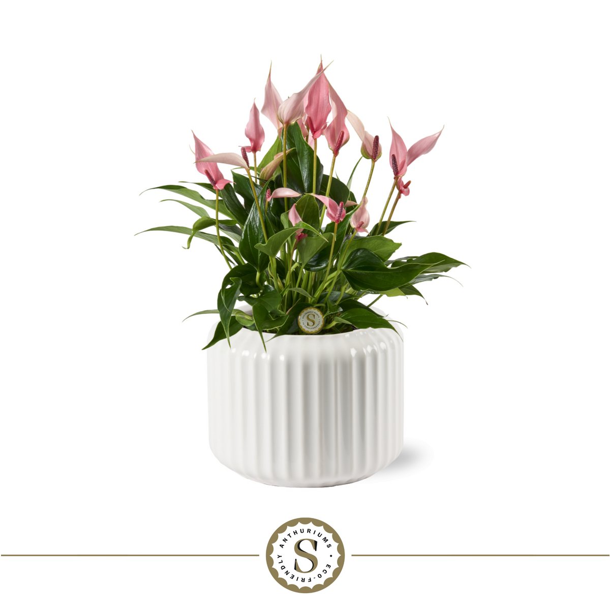 Sierpot keramiek 16 cm wit ribpatroon