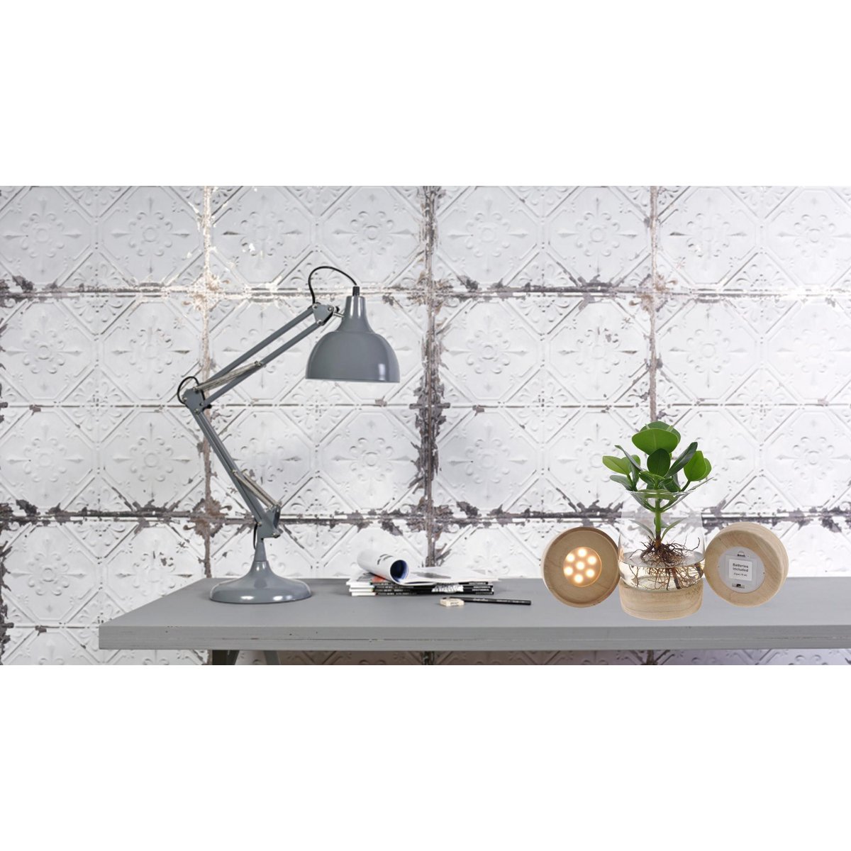 Kamerplant Clusia met LED in Kingston glas