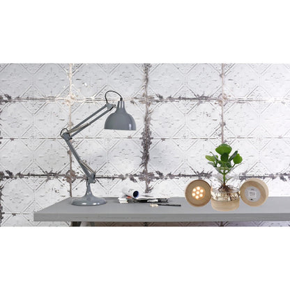 Kamerplant Clusia met LED in Kingston glas