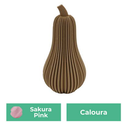 Caloura Pumpkin
