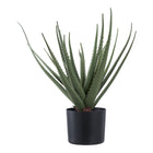 Kunstplant Aloë Vera 51x30.5x30.5 cm groen