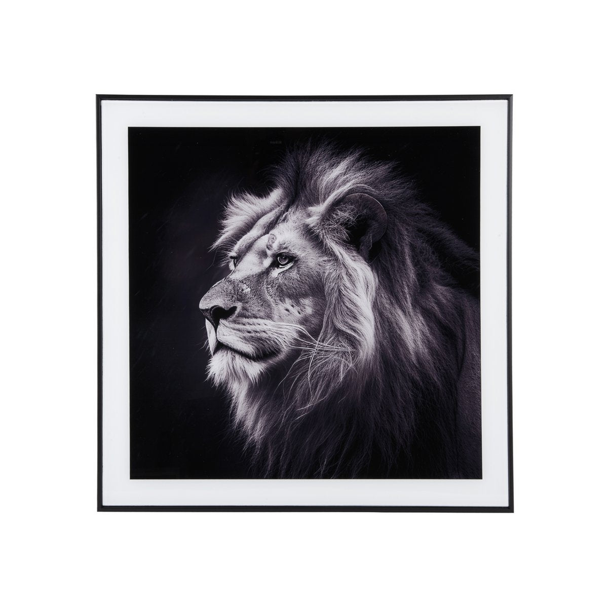 Lion Photo Art