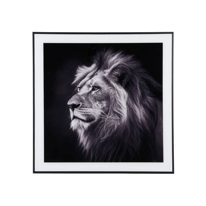 Lion Photo Art