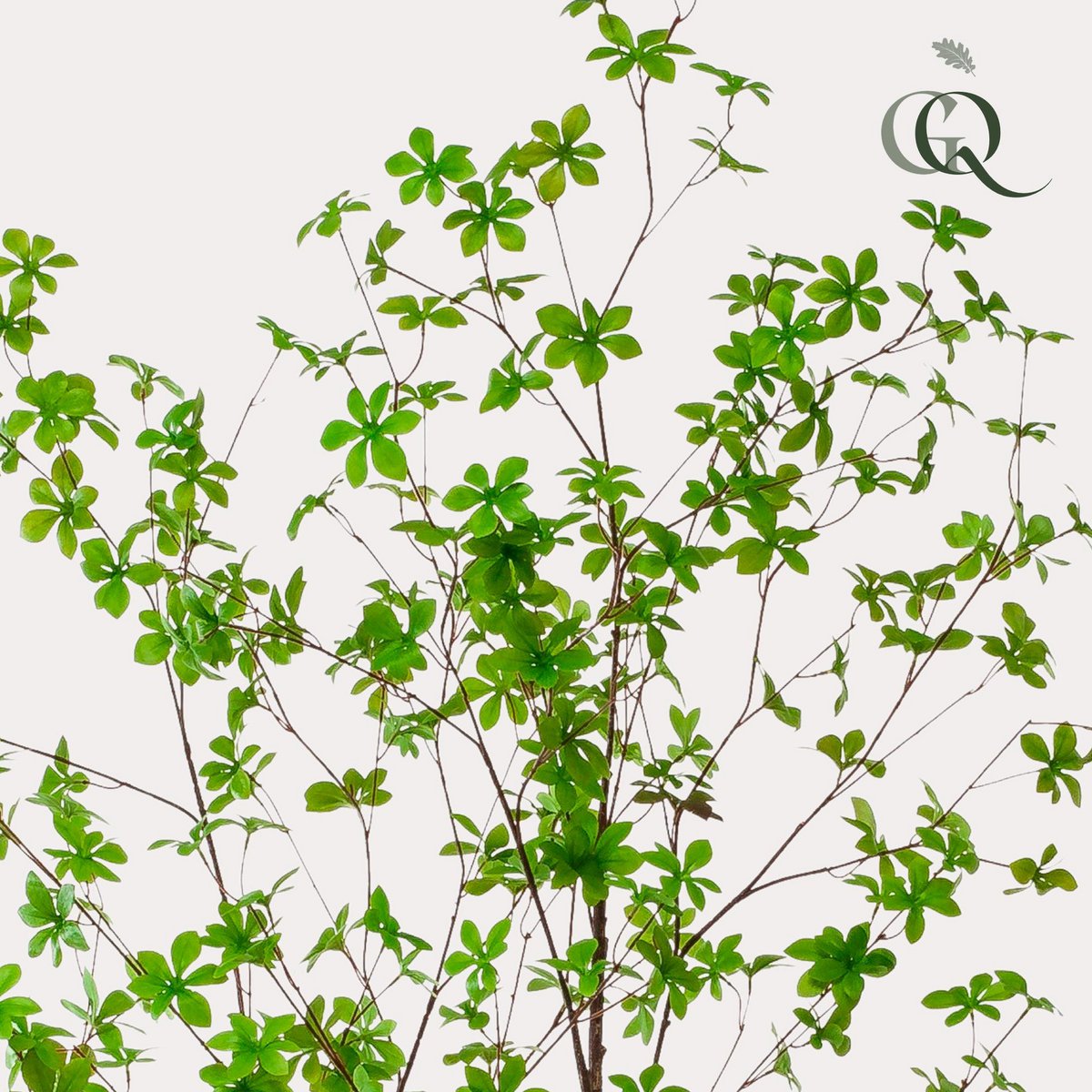 Kunstplant Tropaeolum Speciosum 210 cm groen