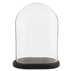Bell Jar 33x22x42 cm Brown Glass Bell Jar