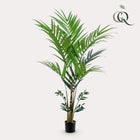 Kunstplant Kentia 180 cm groen