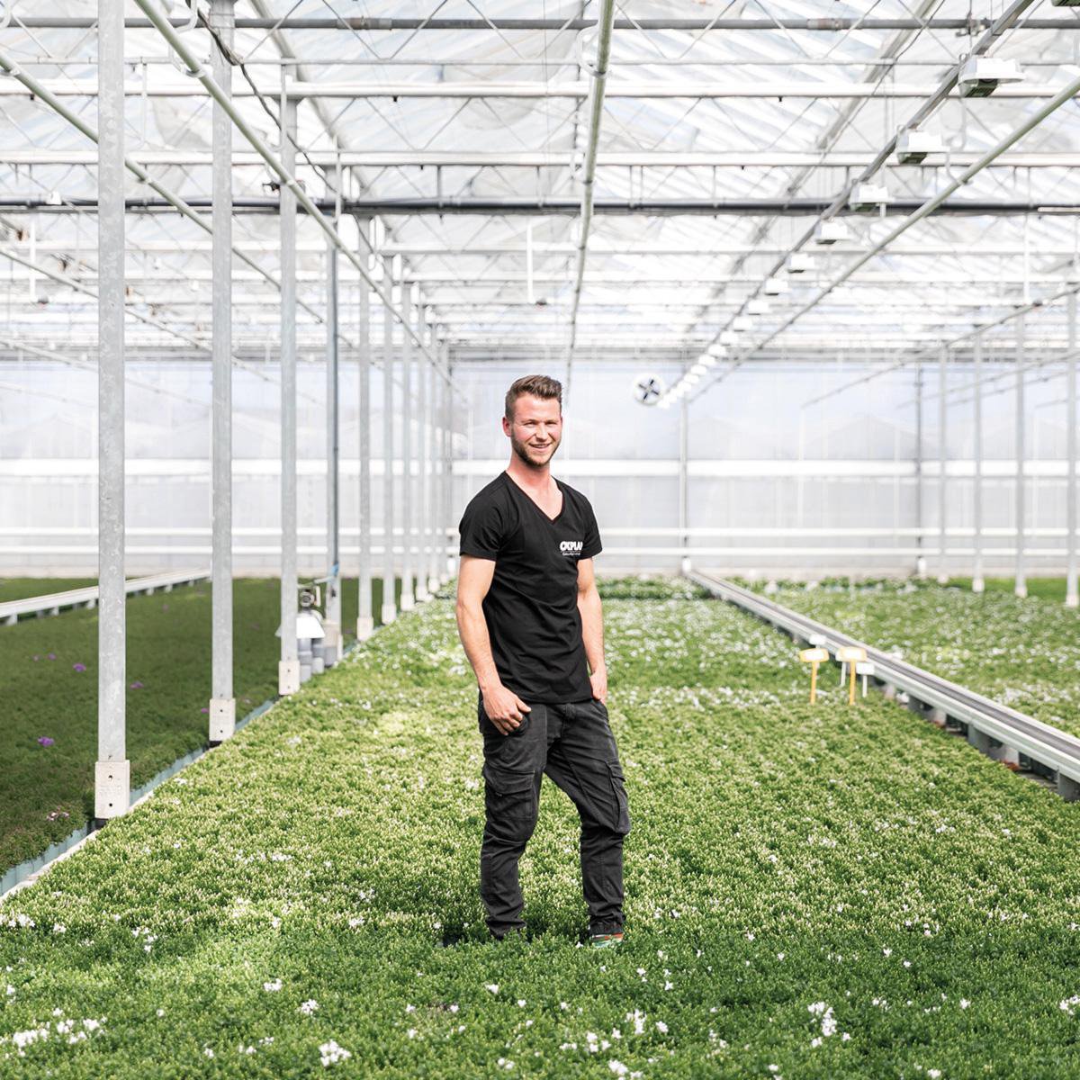 Witte Klokjesbloem in Houten Vogelhuisje-pot – Vaste Plant