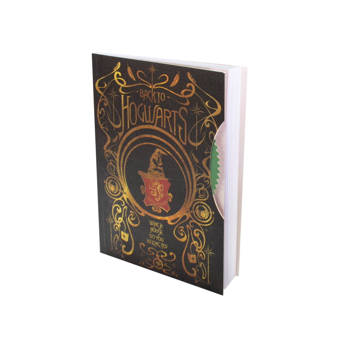 Harry Potter notebook, A5 diary