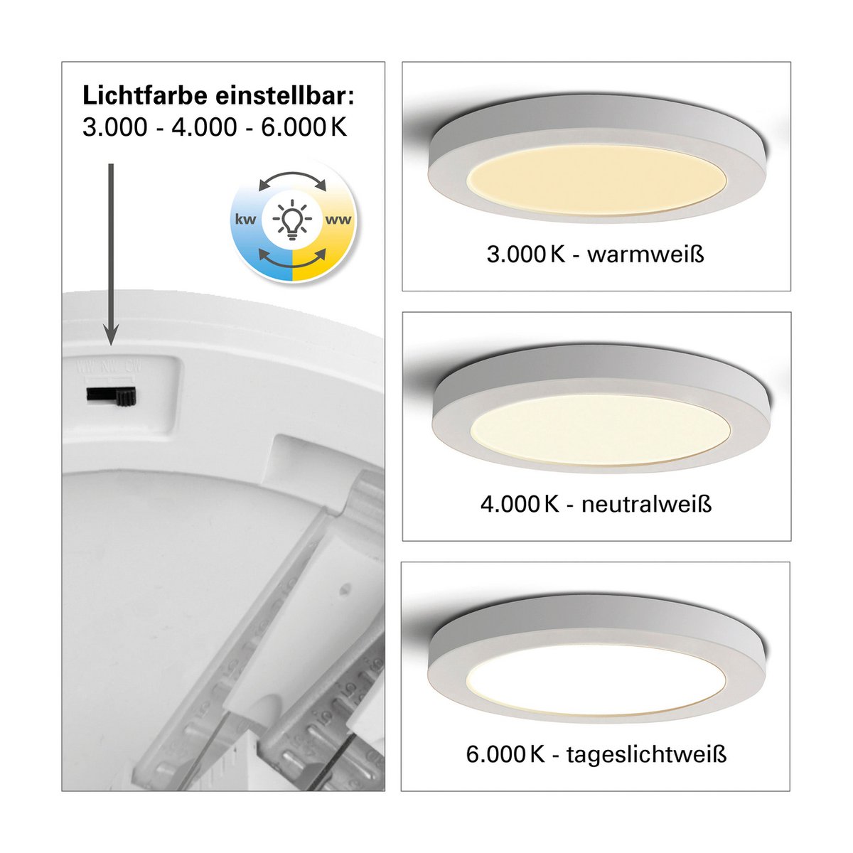 LED -plafondlicht "bonus" Ø: 17 cm