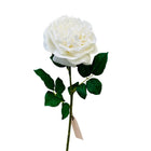 Kunstbloem roos 65 cm wit 2 stuks